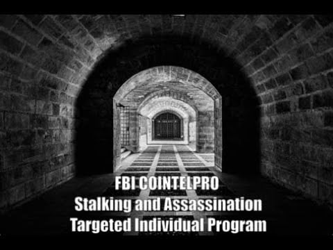 Targeted in America: The FBI Cointelpro Stalking and Assassination Program