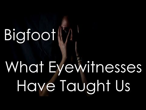 Episode 2 Bigfoot Witnesses And What We Have Learned
