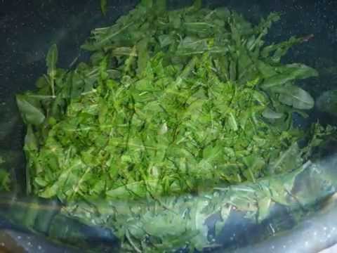 Love'sCreationUnlimitedPresents:WHY DANDELIONS?