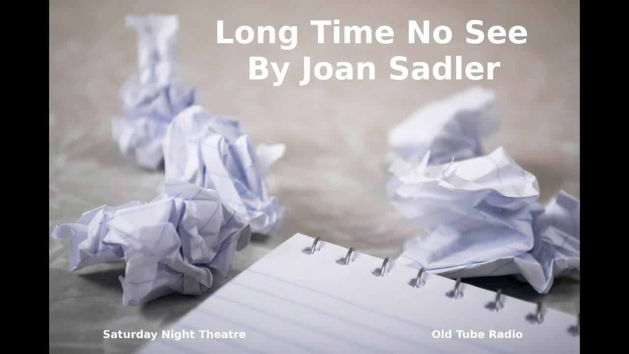 Long Time No See By Joan Sadler