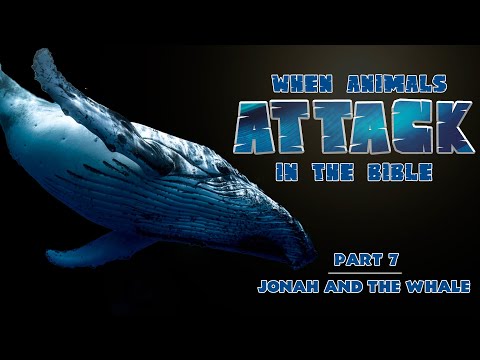 Jonah and the Whale (Part 7) | Pastor Roger Jimenez
