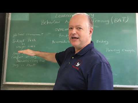 Learning Theory Breakdown - Behavior Adjustment Training (BAT) - Pt 7