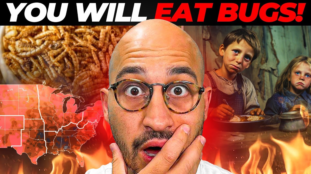 You Will Eat The Bugs (It Started Today)