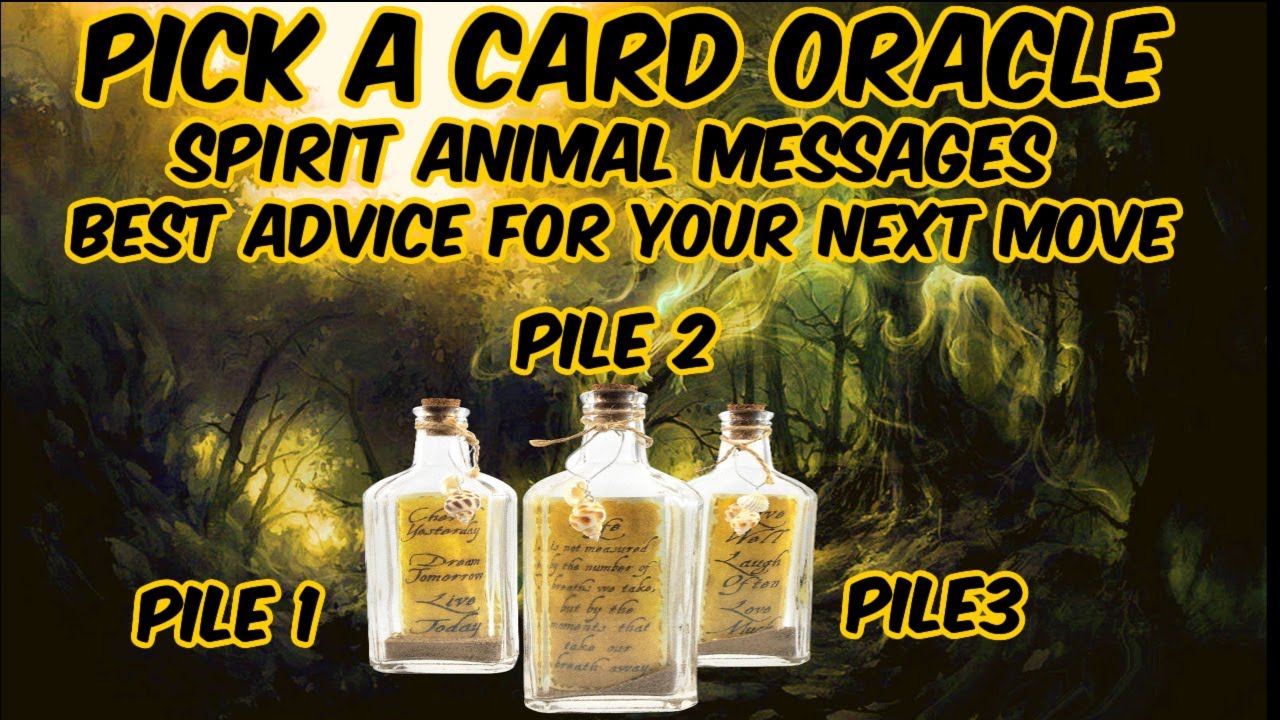 Pick A Card Oracle Reading l  Timeless Messages From Your Spirit Animal Guides l Best Advice 🐺🐻🐴🐢🐬🐝🐉