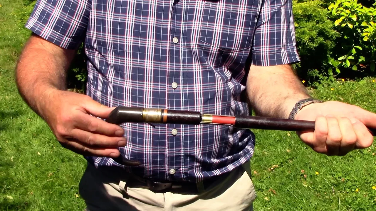 Cane Gun