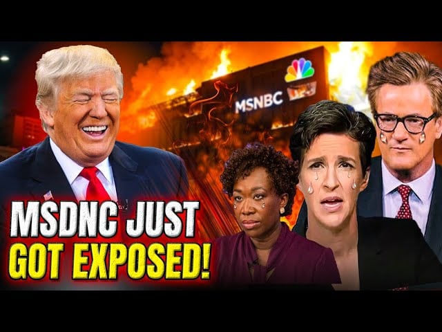 They Finally Admitted The Truth About MSNBC