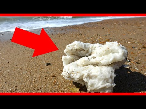 These Strange Objects That Are Washing Up On Beaches Should Be Avoided At All Costs