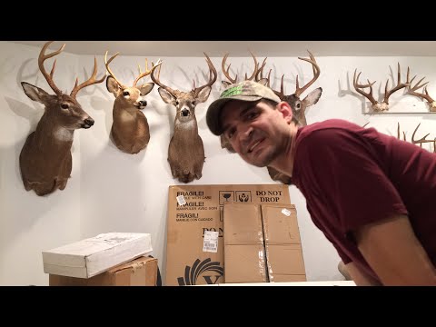 LIVE Unboxing archery and hunting stuff from the Allen Company