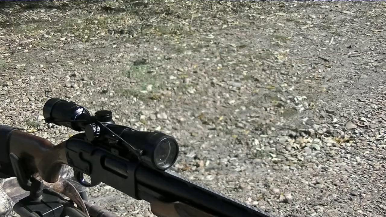 Cabela's Slugger shotgun scope