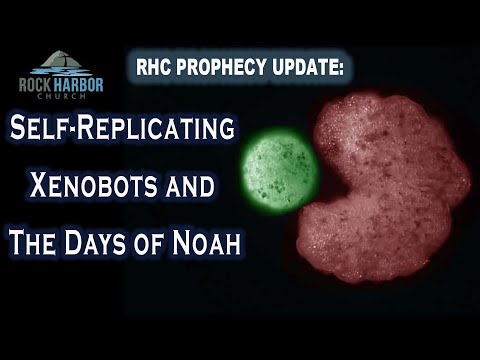 12-8-21 Self Replicating Xenobots and The Days of Noah [Prophecy Update]