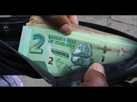 Zim dollar update for 06/30/22 - back to the gold standard?