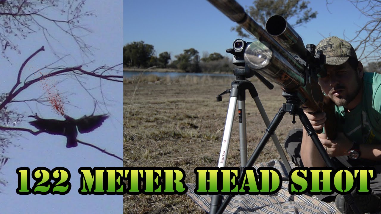 122 Meter Dove Head Shot