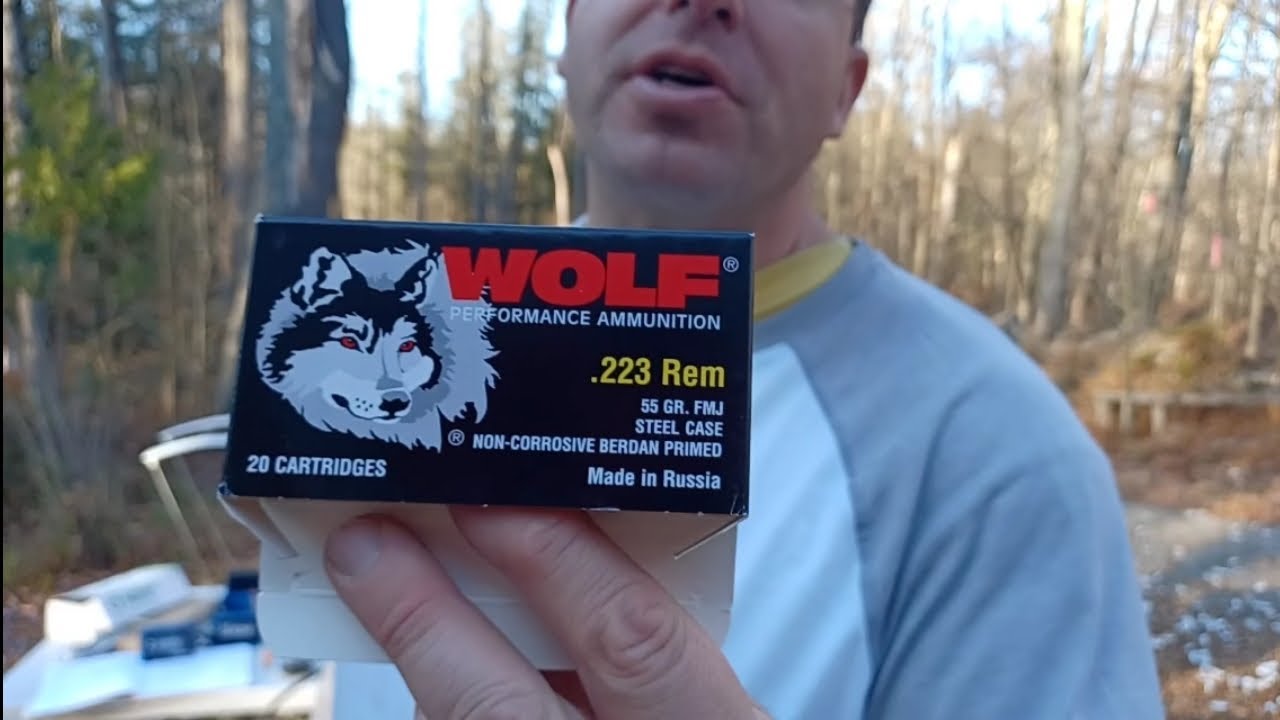 Wolf Performance review