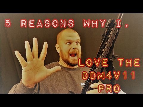 TOP 5 REASONS I LOVE THE DDM4V11 PRO