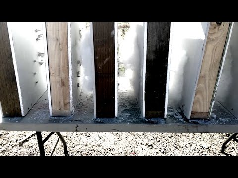 Home Defense Calibers & Wall Penetration Test (Noah's Science Project)