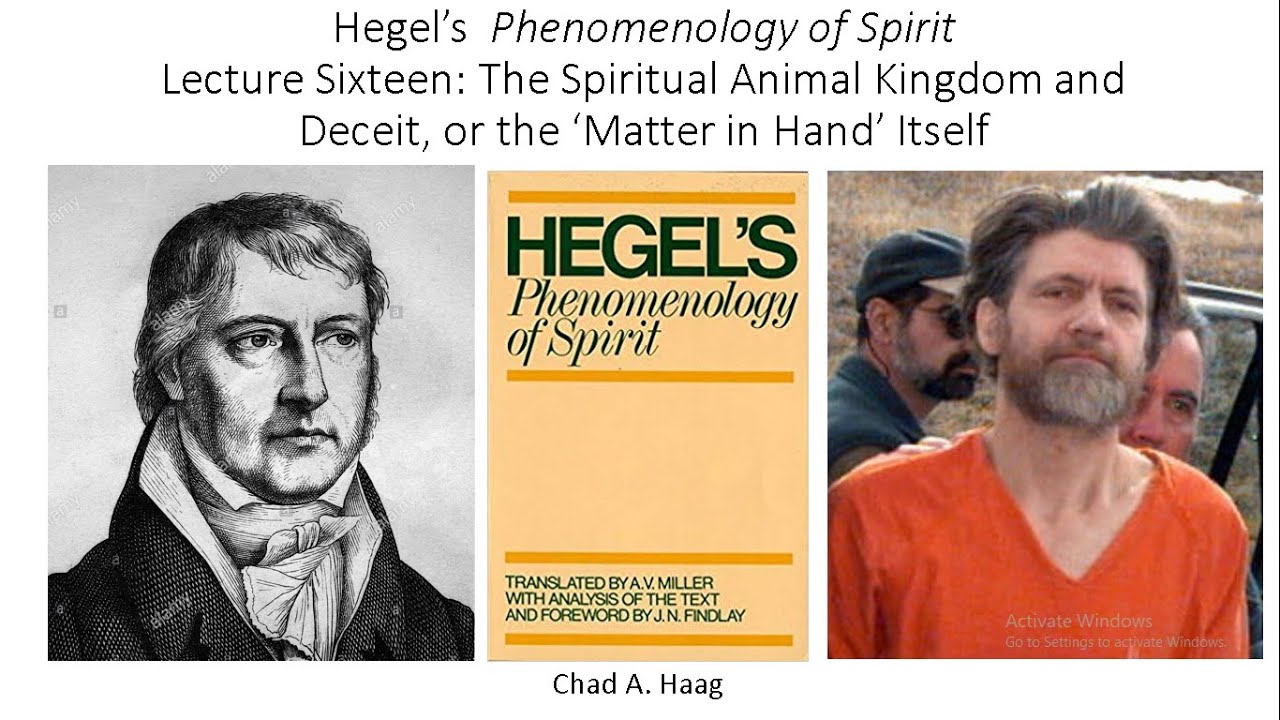 Hegel Phenomenology of Spirit Lecture 16 Spiritual Animal Kingdom