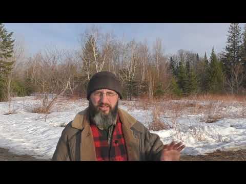 Early Christians Were NOT Communists!