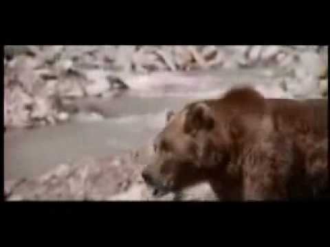 The Bear (Original Piano)