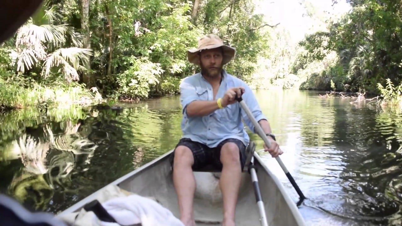 8 Mile Gator Swamp Tour in a Canoe