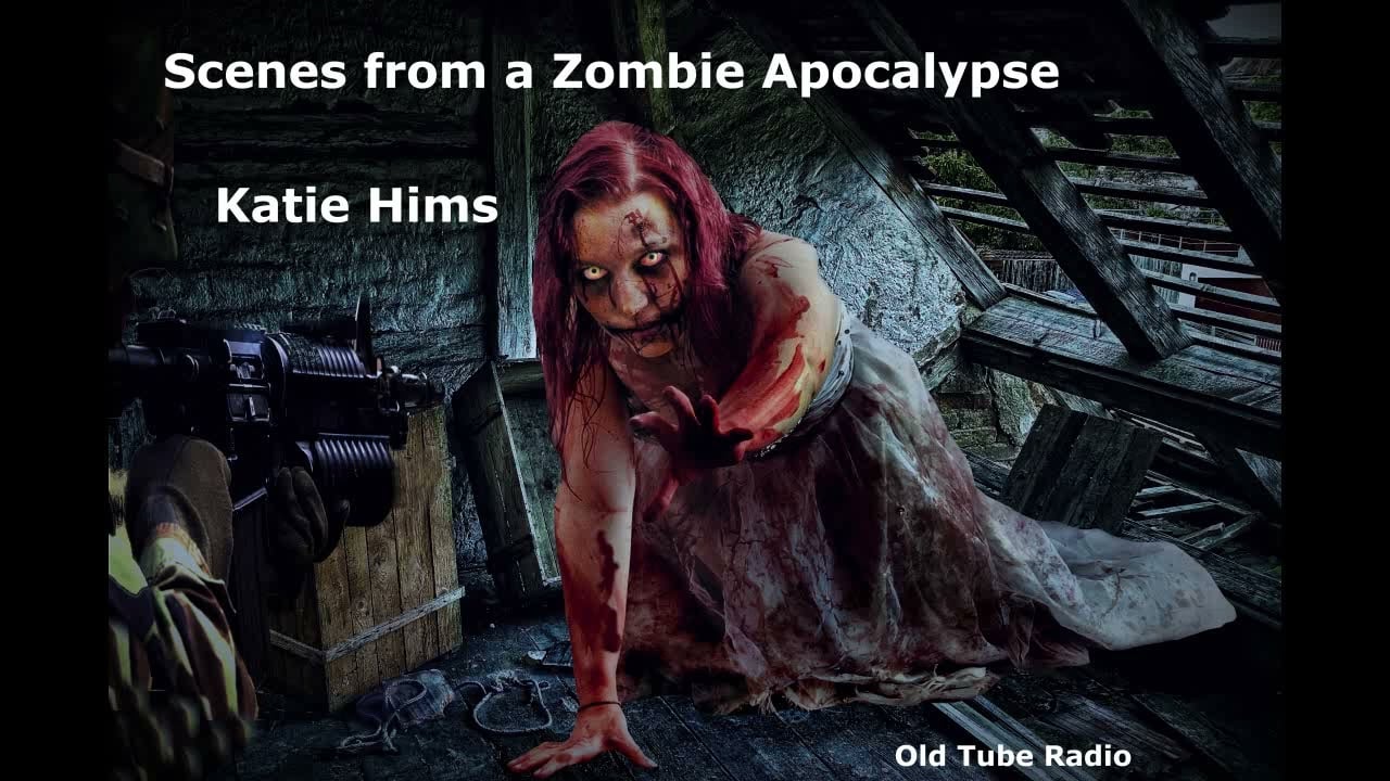 Scenes from a Zombie Apocalypse by Katie Hims
