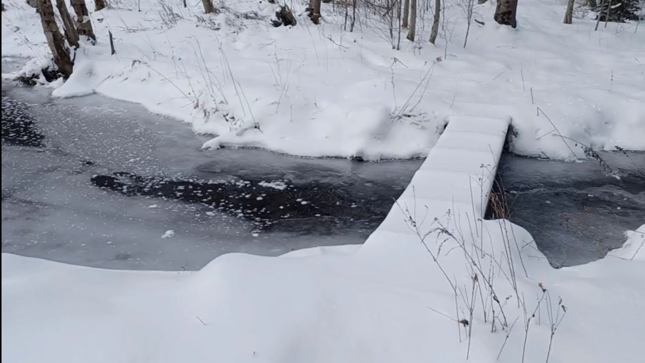 Frozen Stream and Pond