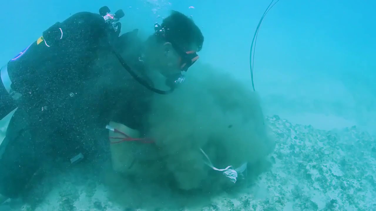 NAVY Underwater Demolition Training