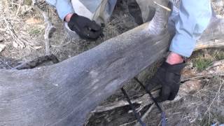 Is the "Pocket Chainsaw" Any Good?