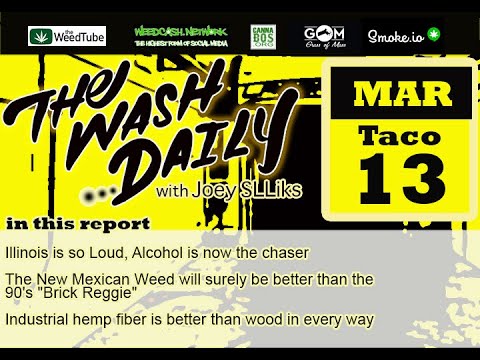 THE WASH DAILY  with Joey SLLiks CANNABIS NEWS REPORT Hemp wood products beat the Tree wood product