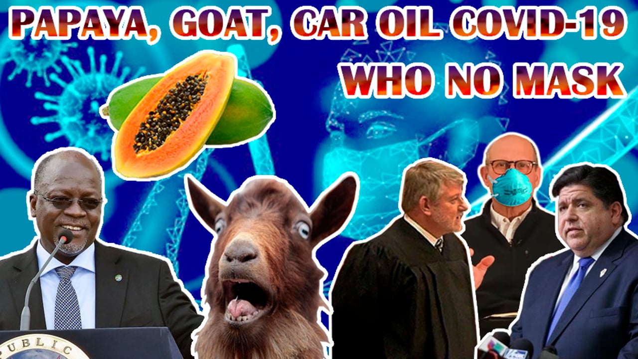 Tanzania Pres. Bans MASKS After PAPAYA, Goat & Car Oil Tested Positive 4 Covid-19. Lockdown INSANITY