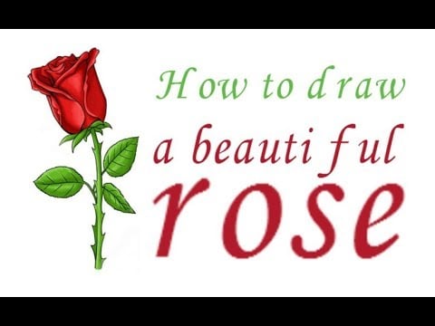 How to draw a rose, draw a beautiful rose, #Kids, #YouTubeKids