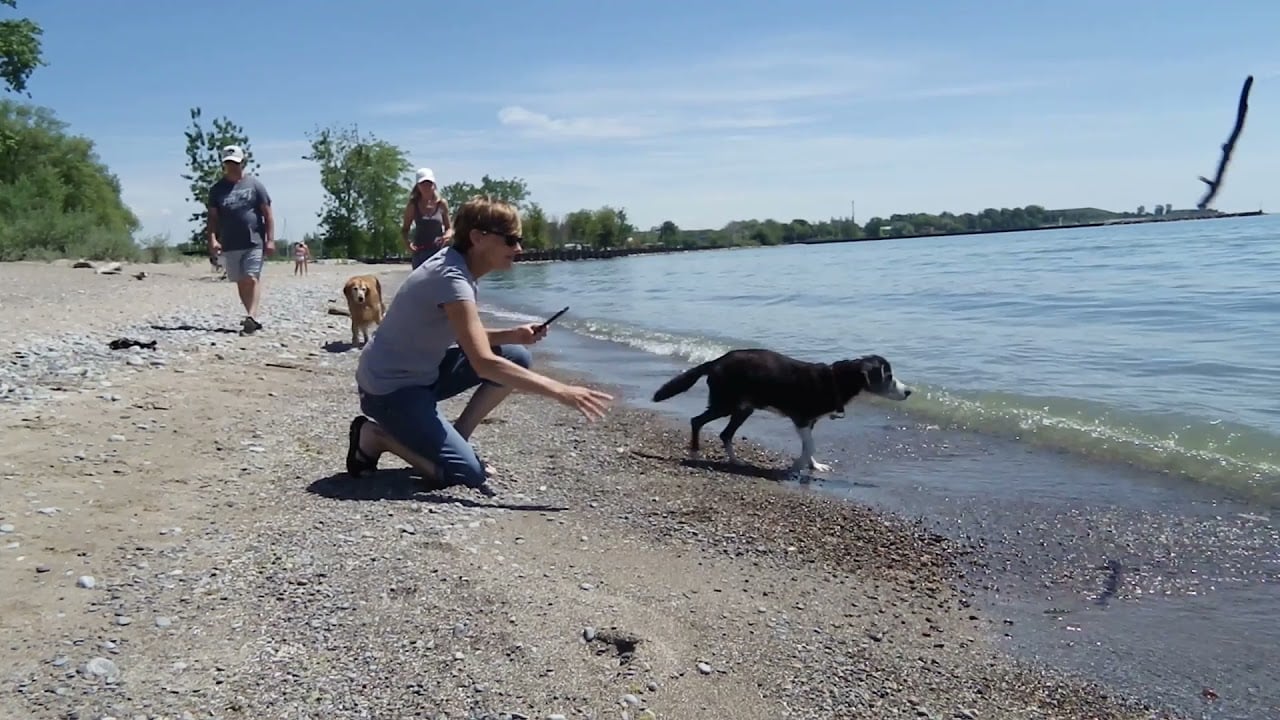 LUKE'S INCREDIBLE BEACH ADVENTURE