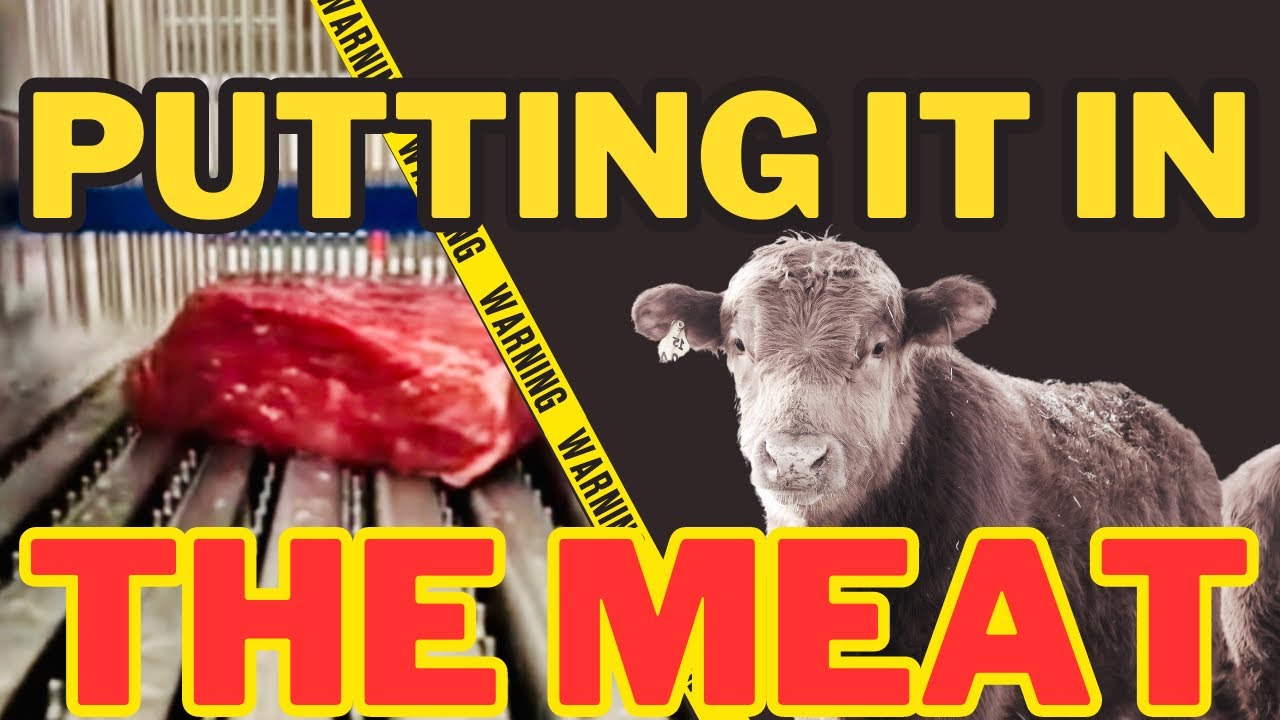 Warning ⚠️  DON'T TRUST THE MEAT, Do THIS Instead.. | shtf news | Beef