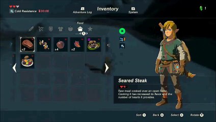Zelda: Breath of the Wild - Shield Boarding - Wii-U Gameplay