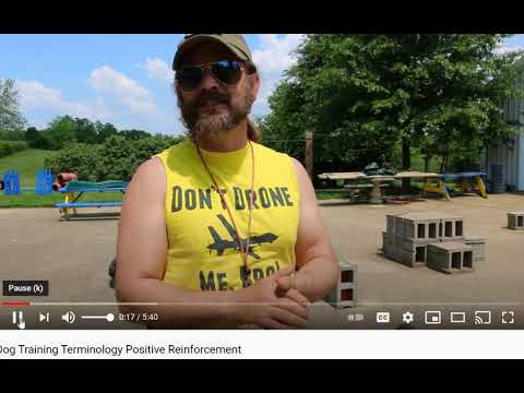 Stonnie Dennis - Why Balanced Dog Trainers Sound just like Force Free Trainers - Flipping the Script