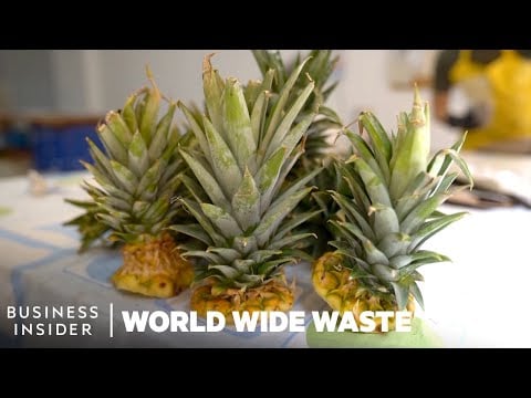 Plates Made From Pineapple Scraps Grow Edible Plants | World Wide Waste