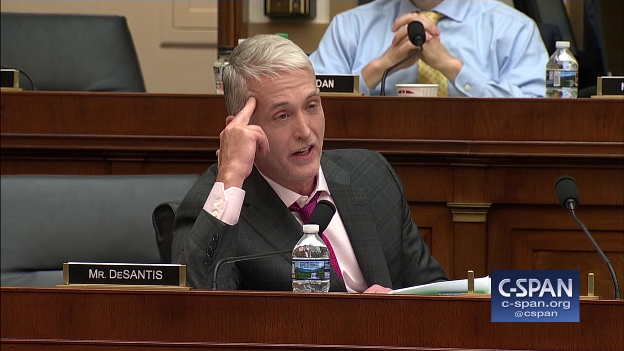 Rep. Trey Gowdy: "Whatever you got, finish it the hell up..." (C-SPAN)