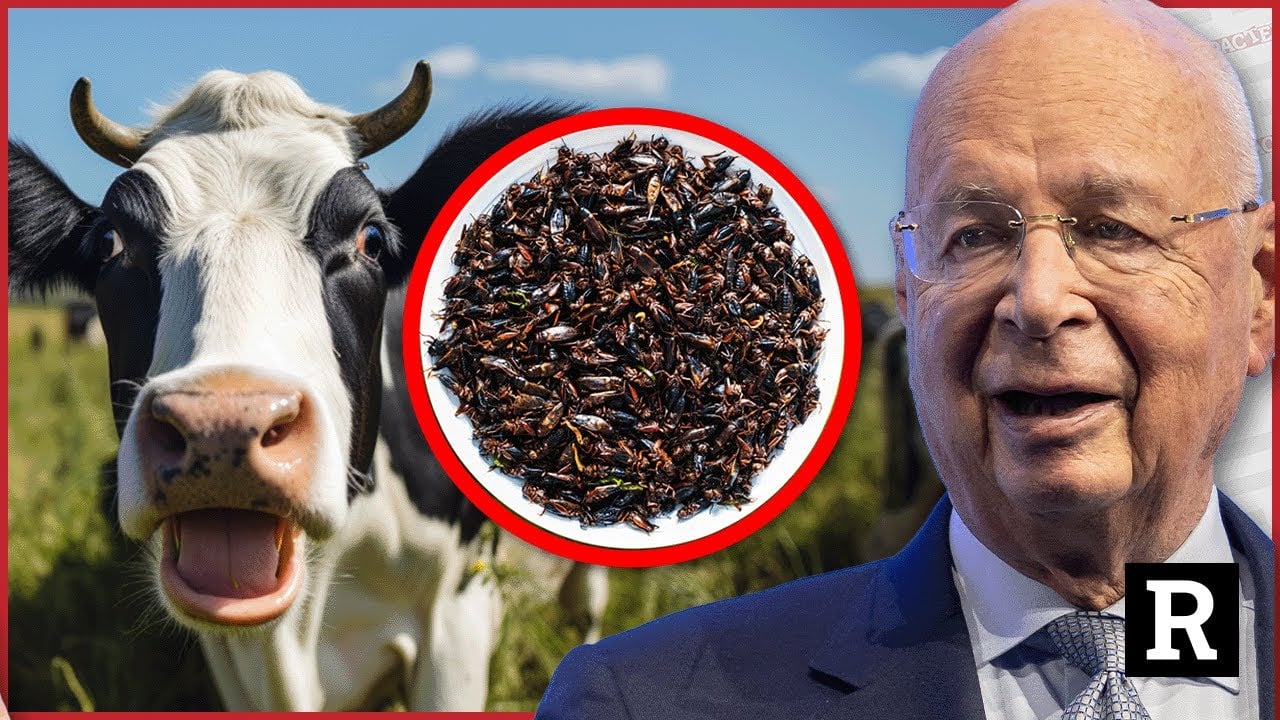 The WEF is HIDING bugs in these foods and you don't even know it | Redacted with Clayton Morris