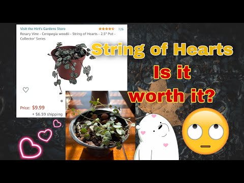 String of Hearts from Amazon|Rosary Vine | PlanThriveDivas | LoveThyPuppy