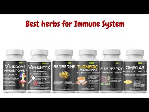 Best Herbs For Immune System