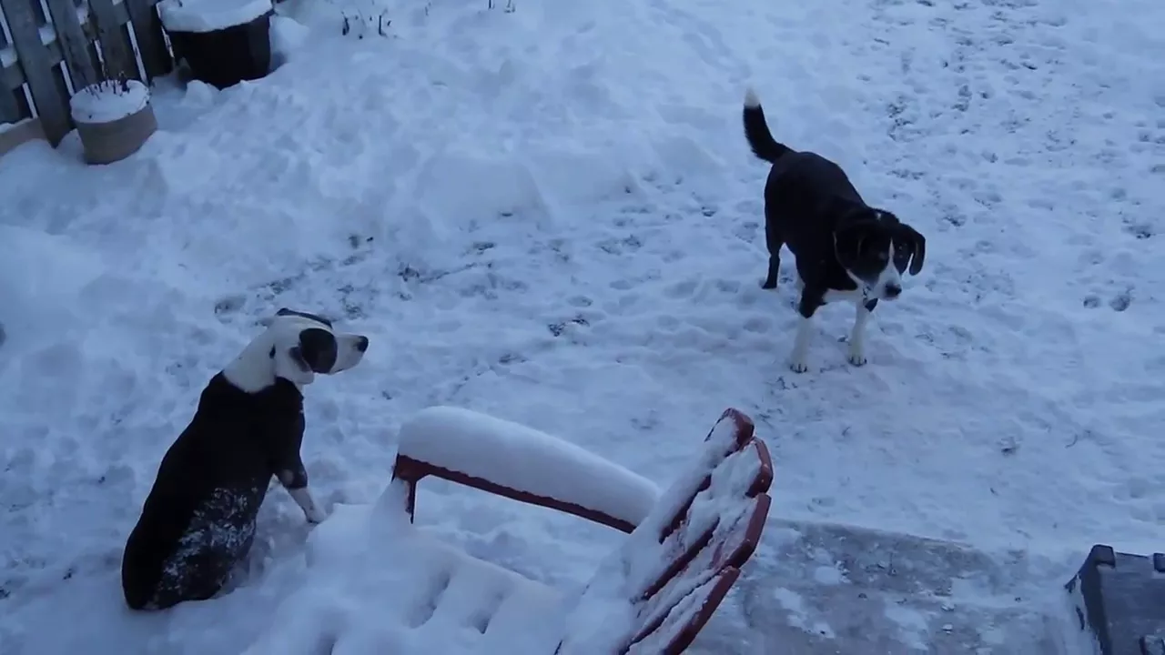 A Snow Day