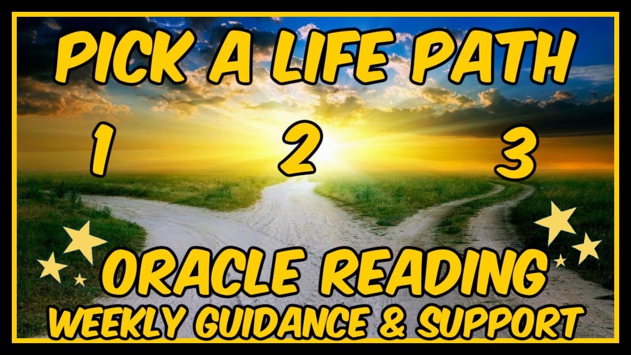 Pick A Life Path🌍 Oracle Reading✨Timeless Messages From The Universe ⭐️