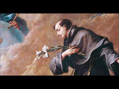 1st Tuesday Novena of St. Anthony: The Lilies of St  Anthony