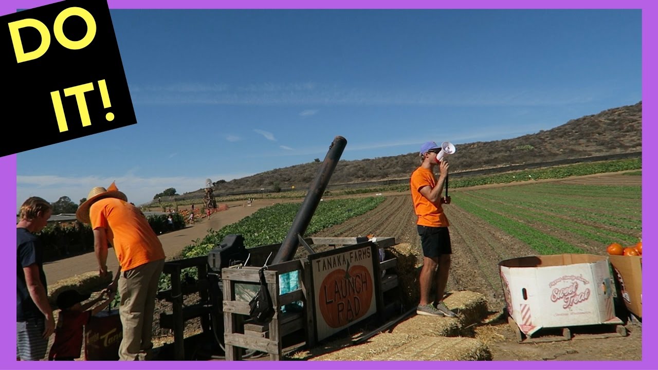 THEY HAD A PUMPKIN CANNON AT TANAKA FARMS!