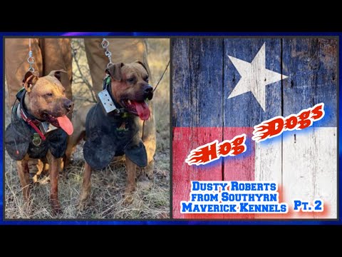 Breeder Profile 008: Hog Dogs - Dusty Roberts from Southyrn Maverick Kennels (Part 2)