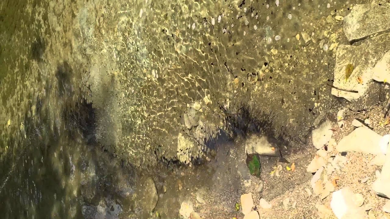 OSE II Video