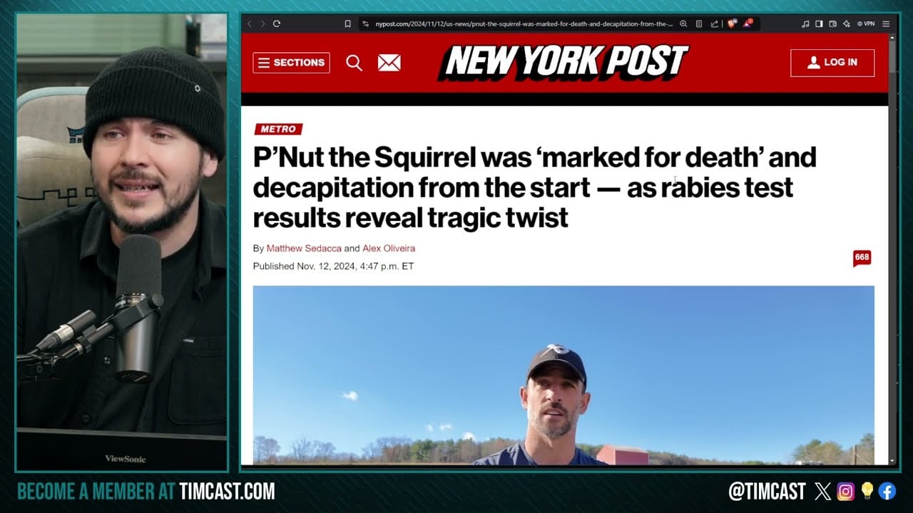 P'Nut WAS ASSASSINATED CONFIRMED, State PREPLANNED Squirrel And Raccoons Deaths BEFORE Raiding