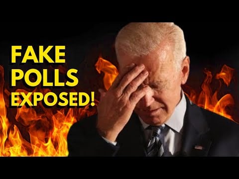 Rigged Polls EXPOSED and MIDTERM PREDICTIONS! Dr Steve with Rich Baris of the ‘People’s Pundit’!!!
