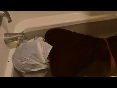 Extremely Depressed Emo Kid BREAKSDOWN THEN DECIDES TO DROWNS HIMSELF WITH A PLASTIC BAG