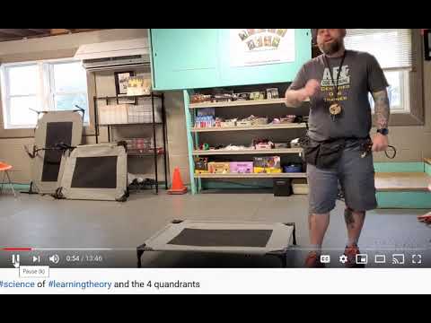AFT Dog Training - Dazed and Confused via the 4 Quadrants - Flipping the Script