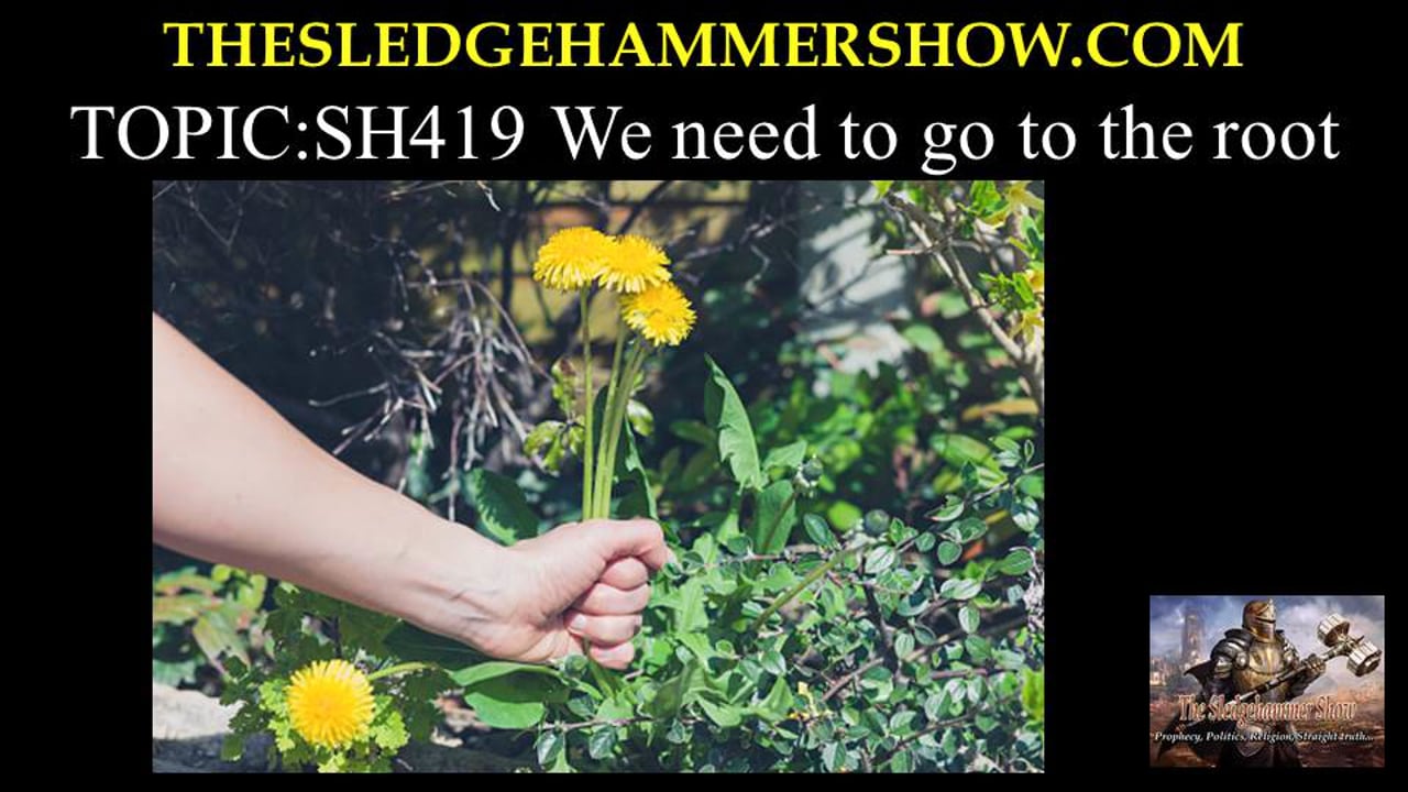 the SLEDGEHAMMER show SH419 We need to go to the root
